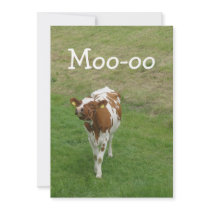 Cow Party Invitations