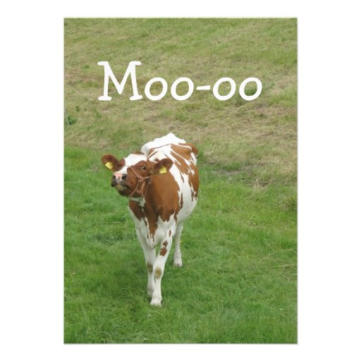 cow party invitations