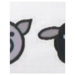 cow pig sheep chicken flyers