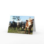 Cow Posse Cards