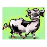 Cow Postcards