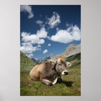 Cow print