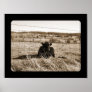 Cow Poster