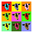 cow poster print pop art   style