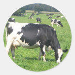 Cow Round Sticker
