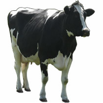 Cow Sculpture Photo Cut Outs