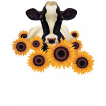 cow shirt by camerashyphotos cow shirt