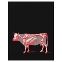 Cow skeleton flyer design