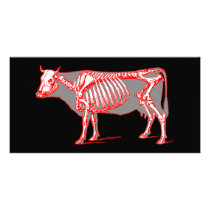Cow skeleton photo cards