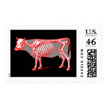 Cow_skeleton postage by engravings Cow_skeleton postage
