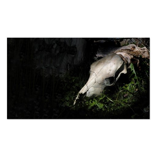Cow skull profile or business card (front side)
