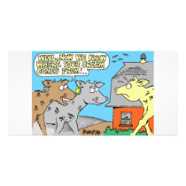COW / SOUR CREAM HUMOR CARTOON photo cards by agriculture_gifts COW / SOUR CREAM HUMOR CARTOON photo cards