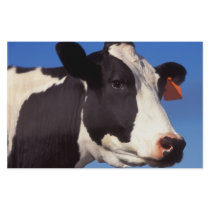 Cow Custom Stationery