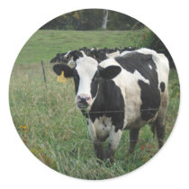 Cow Round Sticker