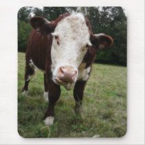 Cow Sticking Out Tongue Mousepads