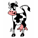 Cow T Shirts