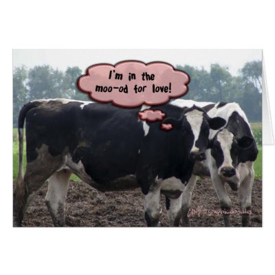 cow valentine card by graphicdoodles