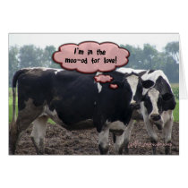 cow valentine cards