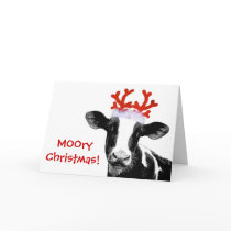 Cow with Reindeer Antlers Card