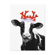 Cow with Reindeer Antlers Post Card