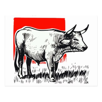Cow Woodcut Postcard