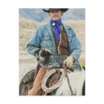 Cowboy and dog on horse postcard