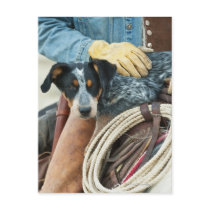 Cowboy and dog on horse postcard