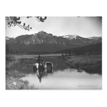 Cowboy and horse in a pond post cards