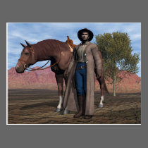 Cowboy and Horse postcards