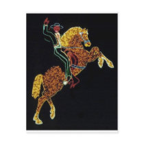 Cowboy and Horse Postcards