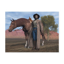 Cowboy and Horse postcards