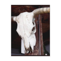 Cowboy art western cattle skull post card
