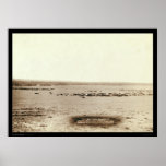 Cowboy Cattle Round Up SD 1891 Poster