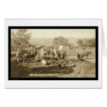 Cowboy Chuckwagon SD 1887 cards