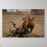 Cowboy falls from bucking bronc posters