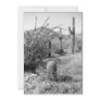 Cowboy Garden (AZ Sonoran Desert) Invite