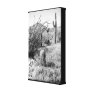 Cowboy Garden Canvas (AZ Sonoran Desert) Canvas Print