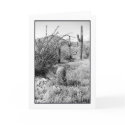 Cowboy Garden Greeting Card by donnabellas Cowboy Garden Greeting Card