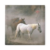 Cowboy Herding Refrigerator Magnet