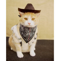 Cowboy Kitty t-shirts by myrtieshuman Cowboy Kitty t-shirts