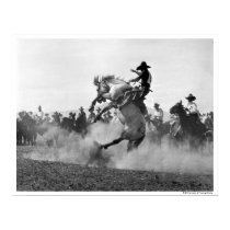 Cowboy on a bucking bronco poster