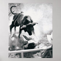 Cowboy on ground after falling off bull print