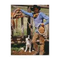 Cowboy posing with lasso and pet dog postcards