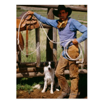 Cowboy posing with lasso and pet dog postcards