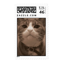 Cowboy postage