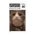 Cowboy postage