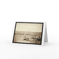 Cowboy Round-Up at Belle Fouche SD 1887 cards