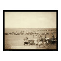 Cowboy Round-Up at Belle Fouche SD 1887 posters by lc_grabill Cowboy Round-Up at Belle Fouche SD 1887 posters