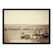 Cowboy Round-Up at Belle Fouche SD 1887 posters
