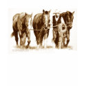 Cowboy Tank t-shirts